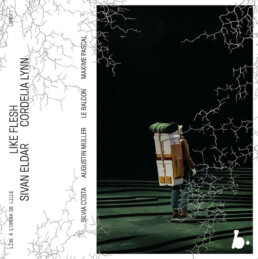 Sivan Eldar - Like Flesh